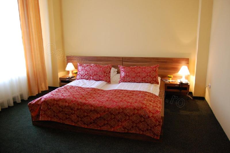 Cazare in Timisoara - HOTEL ARTA HOTEL - Timisoara