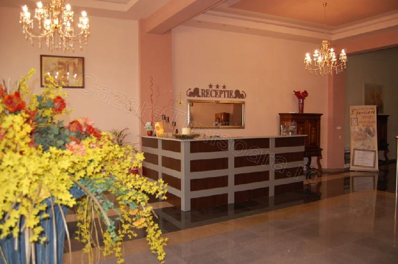 Cazare in Timisoara - HOTEL ARTA HOTEL - Timisoara