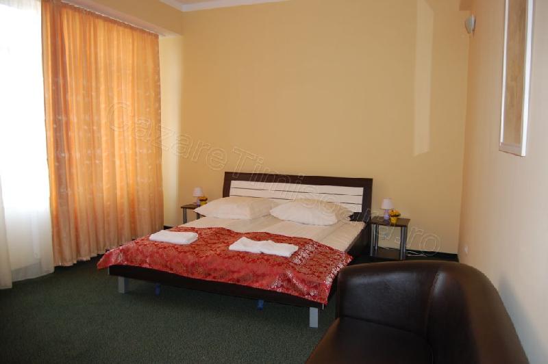 Cazare in Timisoara - HOTEL ARTA HOTEL - Timisoara