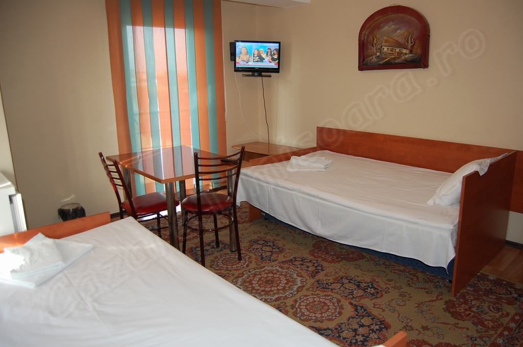 Cazare in Timisoara - PENSIUNEA IVU &  RAUL - Giroc (2 Km De Timisoara)