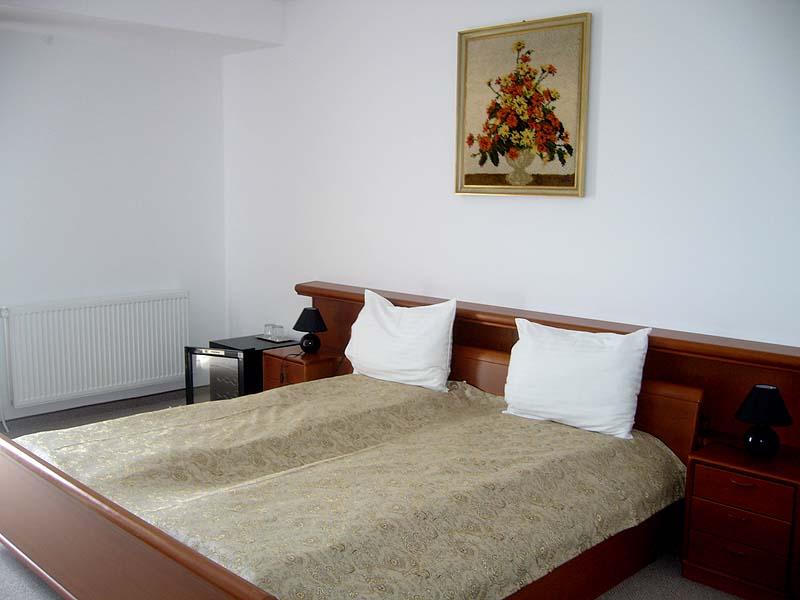 Cazare in Timisoara - CASA DOMNITEI - Timisoara