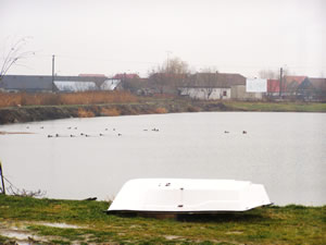 Cazare in Timisoara - PENSIUNE RESTAURANT CYPRINIUS - Sacalaz