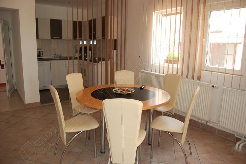 Cazare in Timisoara - CASA BYE BYE - Sag