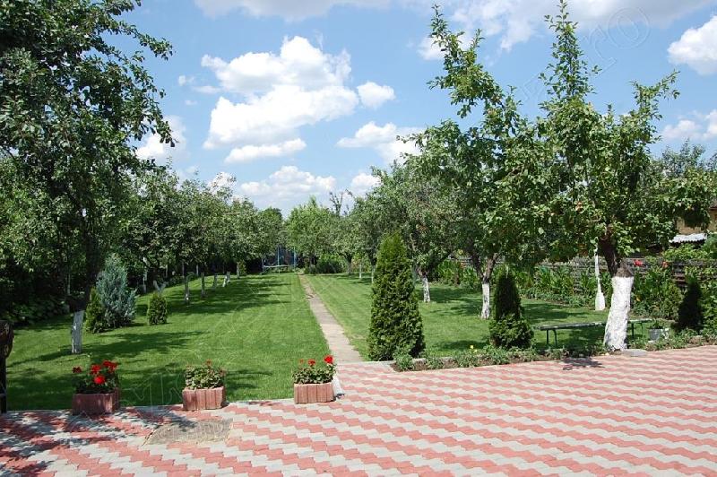 Cazare in Timisoara - CASA BYE BYE - Sag