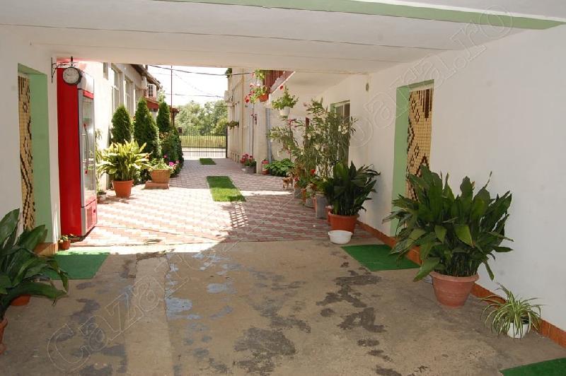 Cazare in Timisoara - CASA BYE BYE - Sag