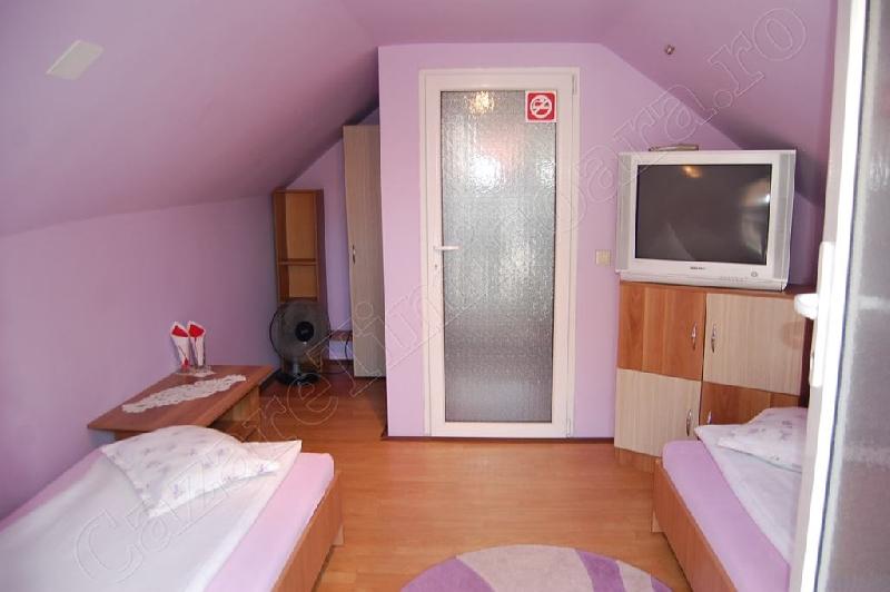 Cazare in Timisoara - CASA BYE BYE - Sag