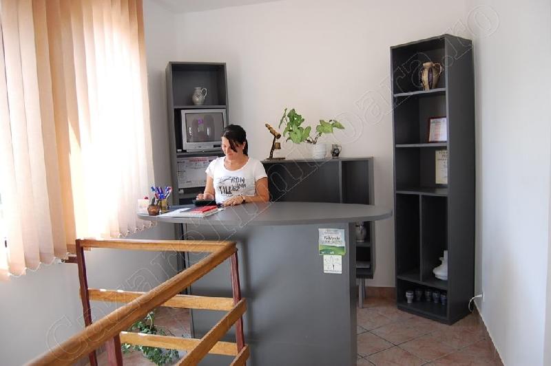 Cazare in Timisoara - CASA BYE BYE - Sag