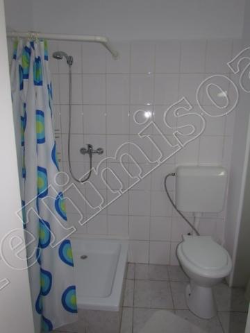 Cazare in Timisoara - PENSIUNEA  ALICIA - Timisoara