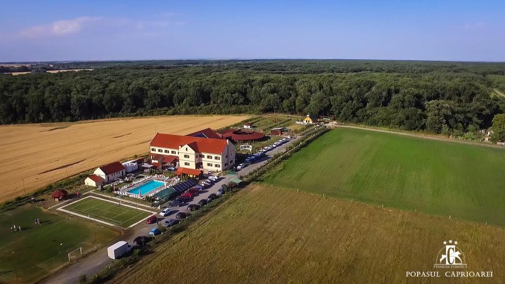 Cazare in Timisoara - POPASUL CAPRIOAREI - Padureni