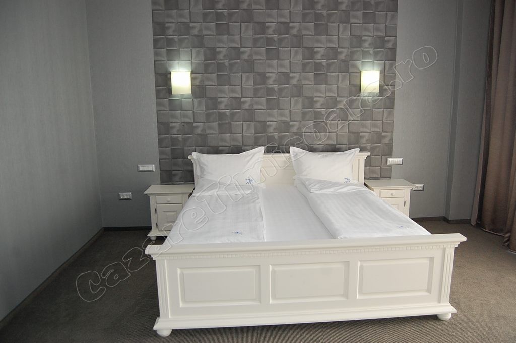 Cazare in Timisoara - Hotel - Spa Ice Dyp - Timisoara Cazare in Timisoara - Hotel - Spa Ice Dyp - Timisoara