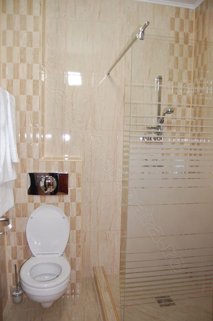 Cazare in Timisoara - PENSIUNEA GENESA - Dumbravita-timisoara