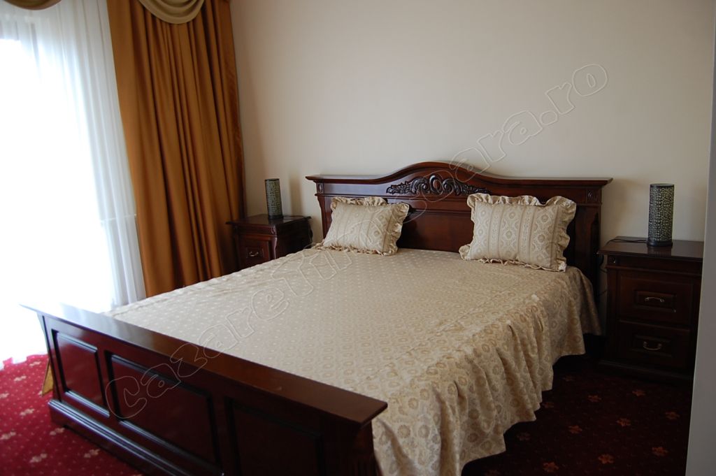 Cazare in Timisoara - PENSIUNEA GENESA - Dumbravita-timisoara