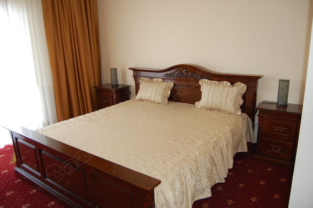 Cazare in Timisoara - PENSIUNEA GENESA - Dumbravita-timisoara