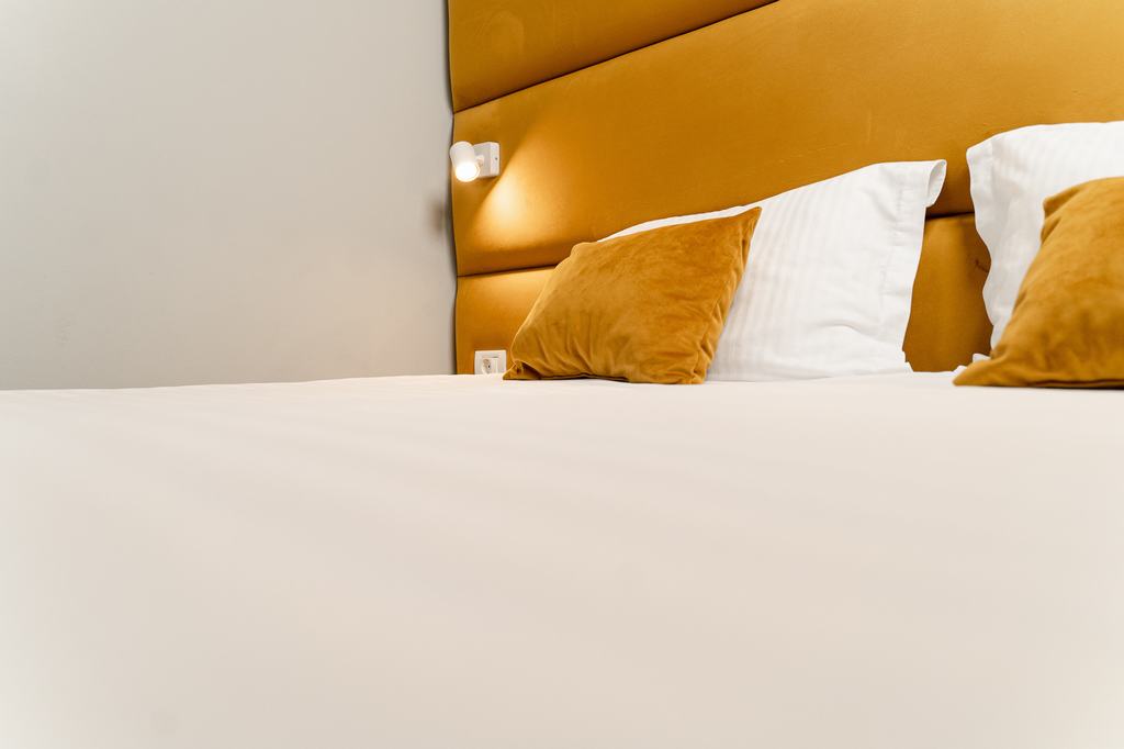 Cazare in Timisoara - PENSIUNEA ELISEI - Timisoara