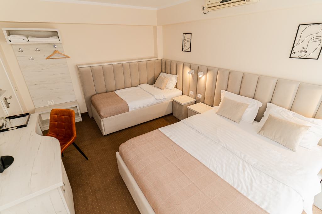 Cazare in Timisoara - PENSIUNEA ELISEI - Timisoara