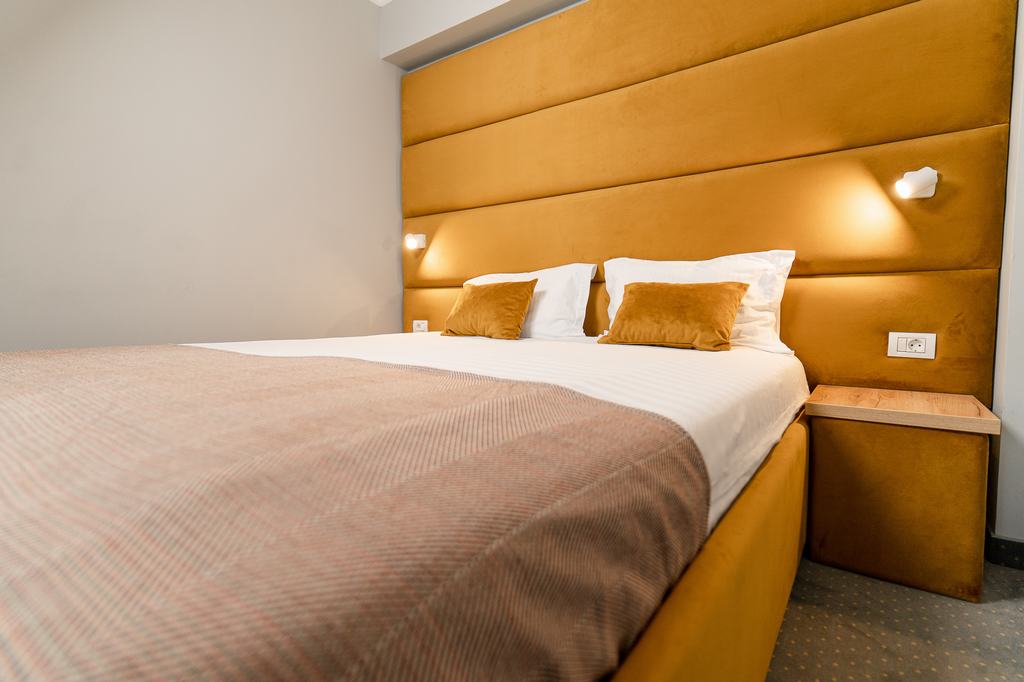 Cazare in Timisoara - PENSIUNEA ELISEI - Timisoara