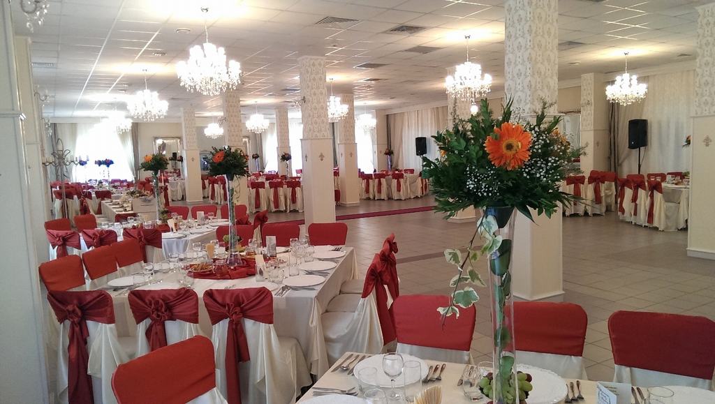 Cazare in Timisoara - HOTEL STRELITIA - Timisoara Cazare in Timisoara - HOTEL STRELITIA - Timisoara