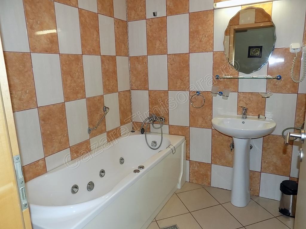 Cazare in Timisoara - HOTEL STRELITIA - Timisoara Cazare in Timisoara - HOTEL STRELITIA - Timisoara