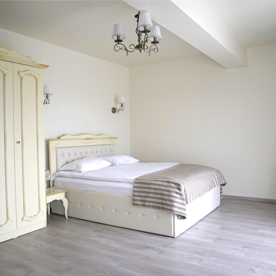 Cazare in Timisoara - PENSIUNEA SOFIA - Remetea Mare