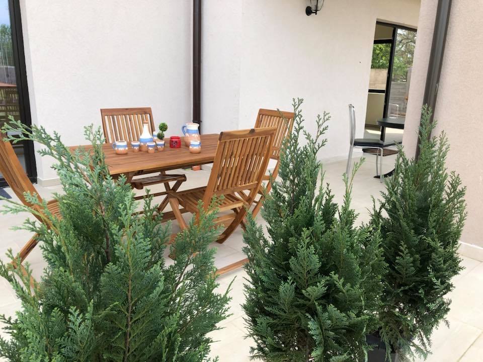 Cazare in Timisoara - PENSIUNEA SOFIA - Remetea Mare