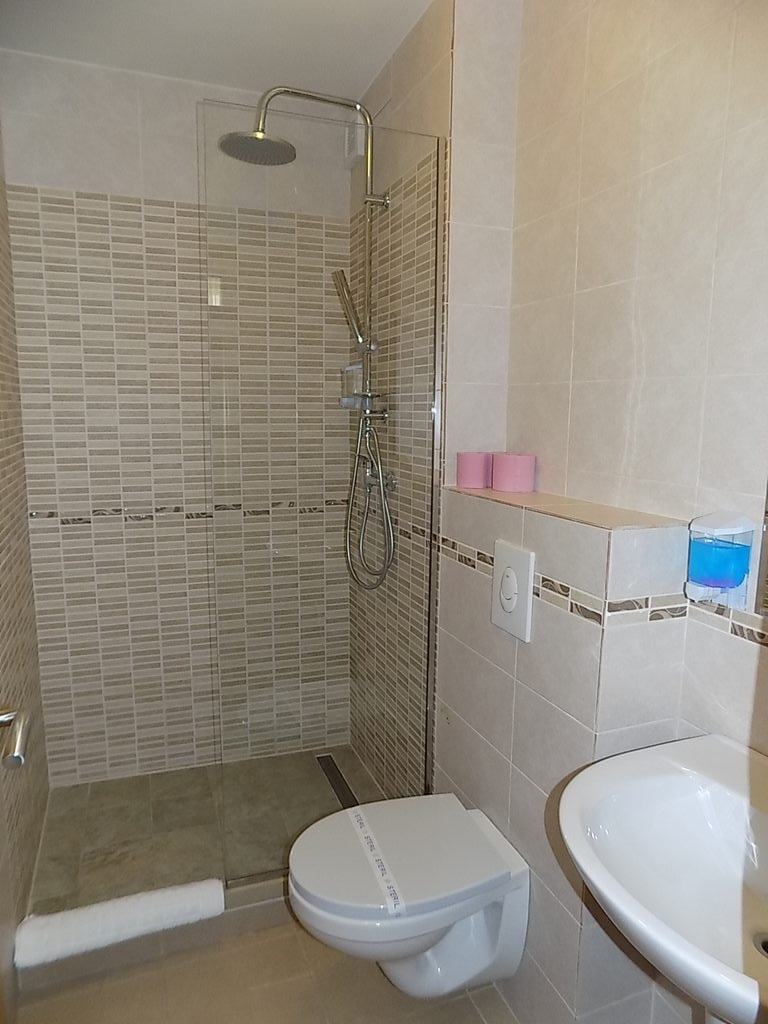 Cazare in Timisoara - PENSIUNEA ANDRONIC - Timisoara