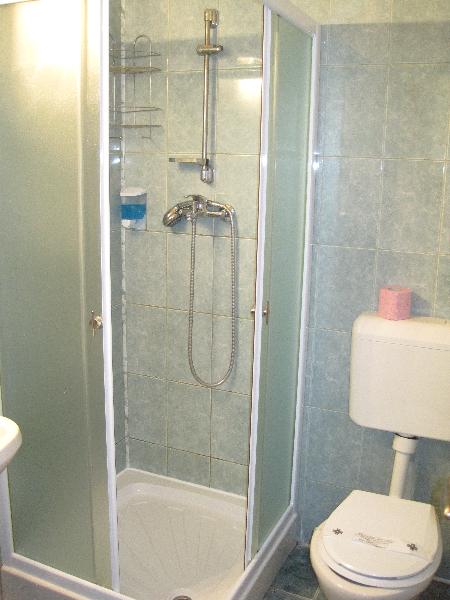 Cazare in Timisoara - PENSIUNEA ANDRONIC - Timisoara