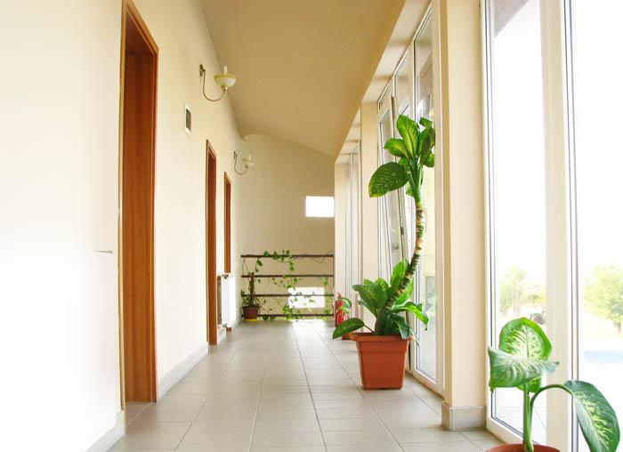 Cazare in Timisoara - HOTEL ANGELLIS - Biled Cazare in Timisoara - HOTEL ANGELLIS - Biled