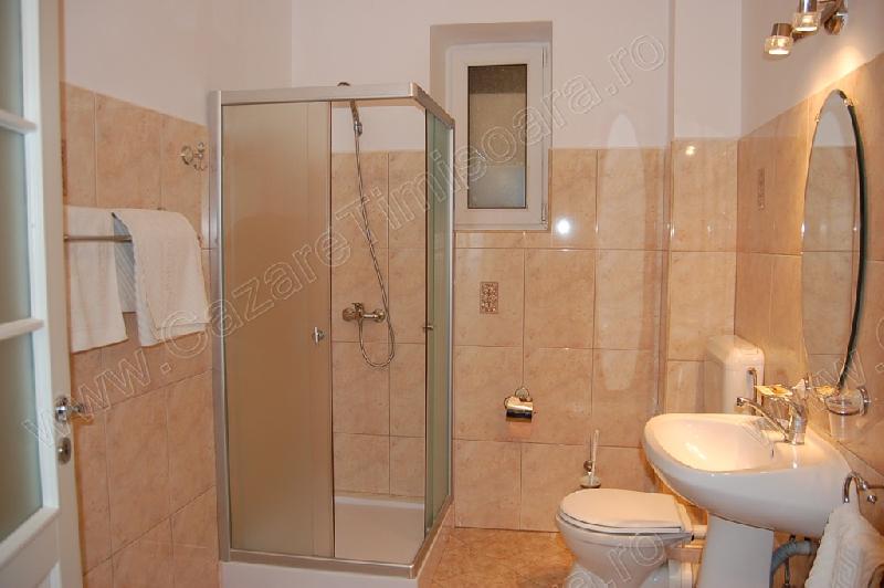 Cazare in Timisoara - PENSIUNEA ELIA - Timisoara